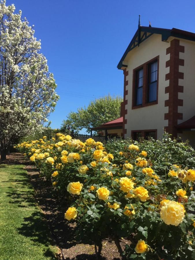 Wine And Roses Bed And Breakfast Adelaide Esterno foto