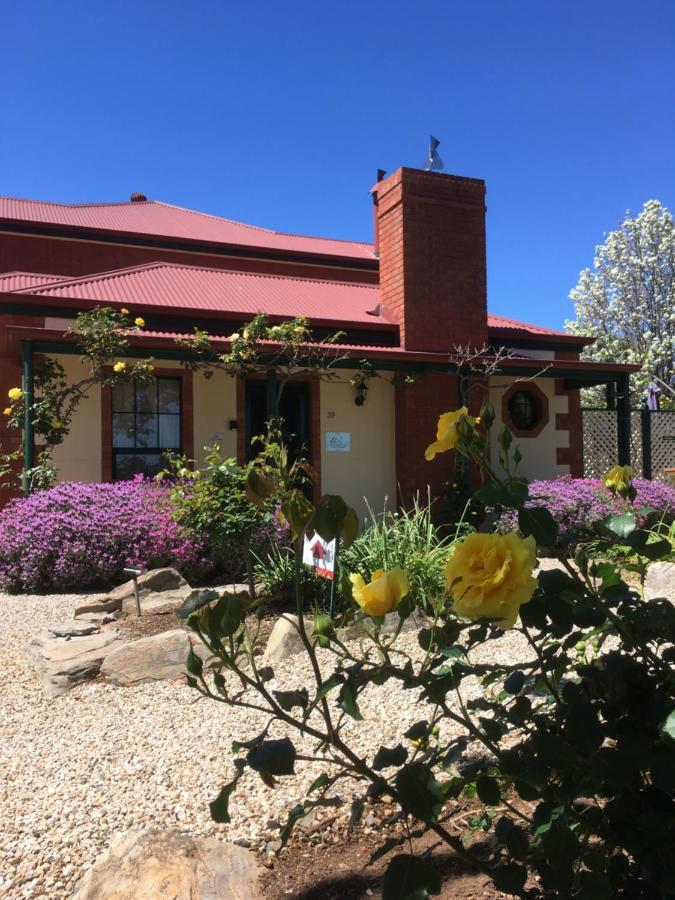 Wine And Roses Bed And Breakfast Adelaide Esterno foto