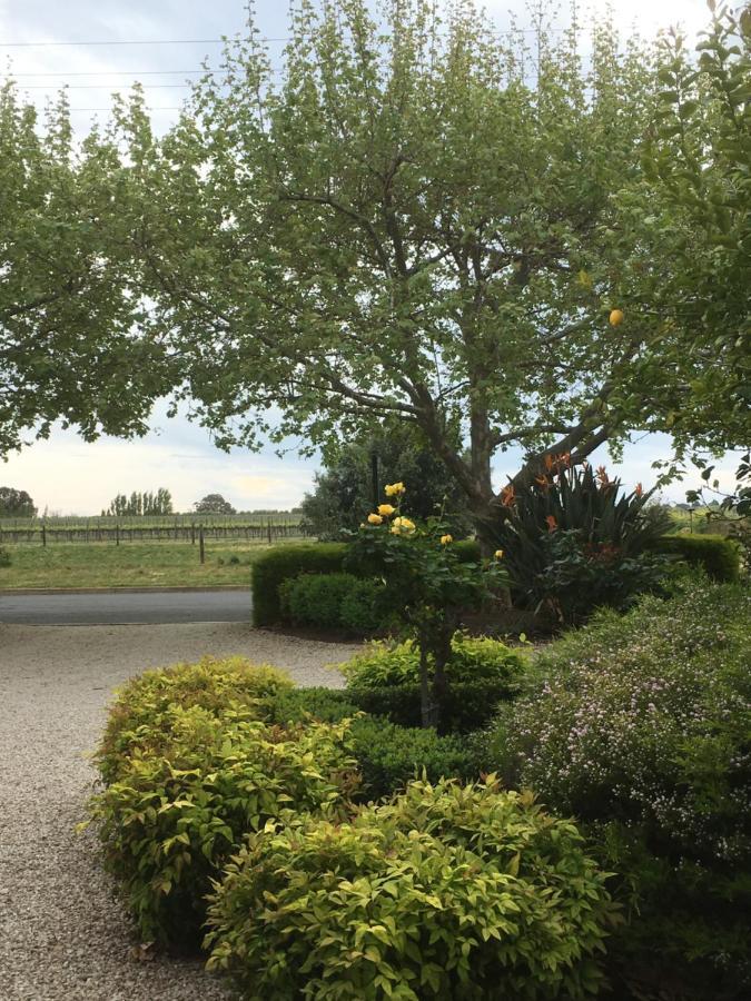 Wine And Roses Bed And Breakfast Adelaide Esterno foto